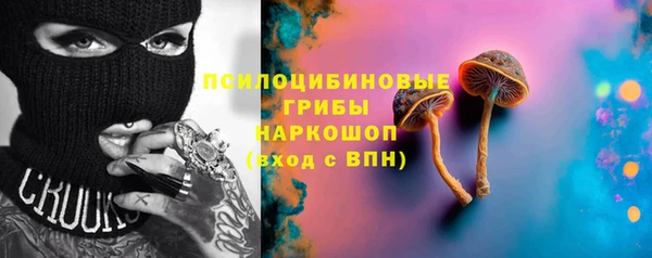 гидропоника Абаза