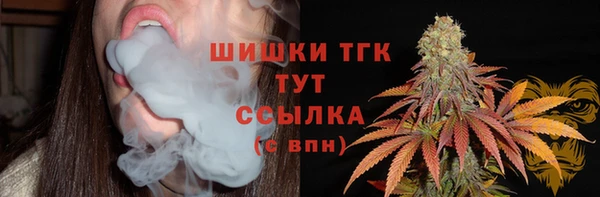 гидропоника Абаза