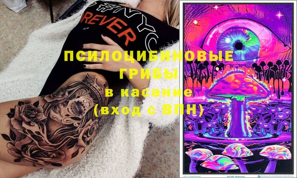 гидропоника Абаза