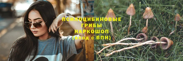 гидра Абинск