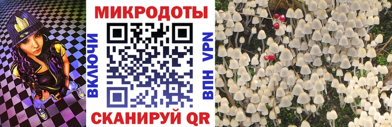 Галлюциногенные грибы Psilocybe Нижневартовск