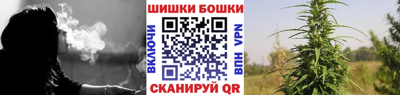 что такое   Нижневартовск  мориарти Telegram  Бошки Шишки планчик 